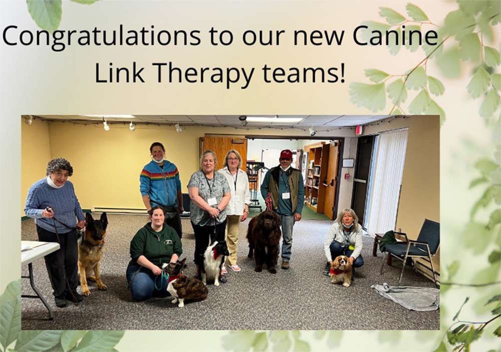 Canine Therapy Dogs In Berkshire County, Canine Therapy Dogs In Litchfield County CT, Canine Therapy Dogs In NY