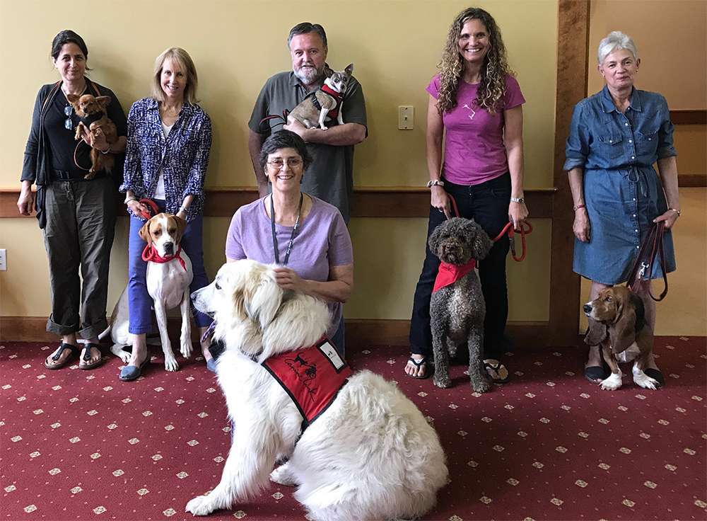 Canine Therapy Dogs In Berkshire County, Canine Therapy Dogs In Litchfield County CT, Canine Therapy Dogs In NY