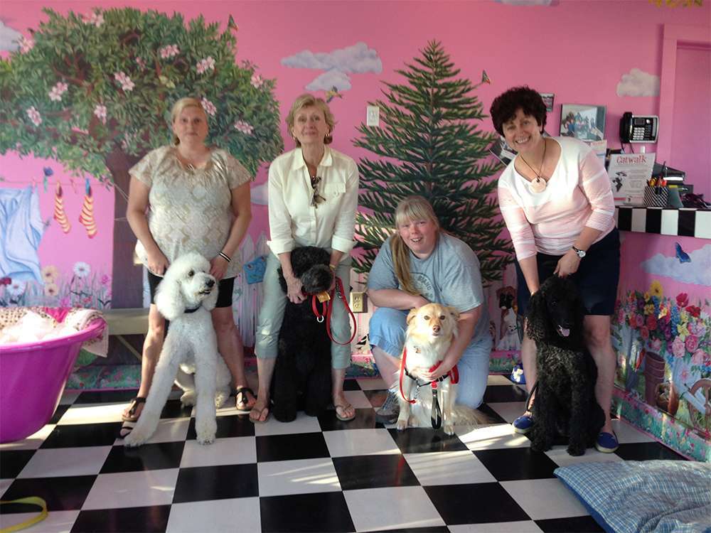 Canine Therapy Dogs In Berkshire County, Canine Therapy Dogs In Litchfield County CT, Canine Therapy Dogs In NY