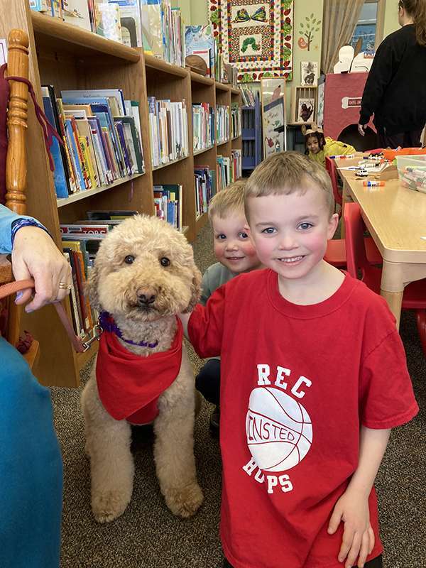 Canine Therapy Dogs In The Berkshires, Canine Therapy Dogs In Connecticut, Canine Therapy Dogs In New York