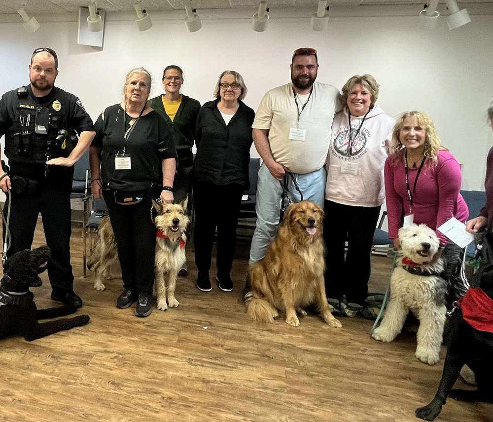 Canine Therapy Dogs In The Berkshires, Canine Therapy Dogs In Connecticut, Canine Therapy Dogs In New York