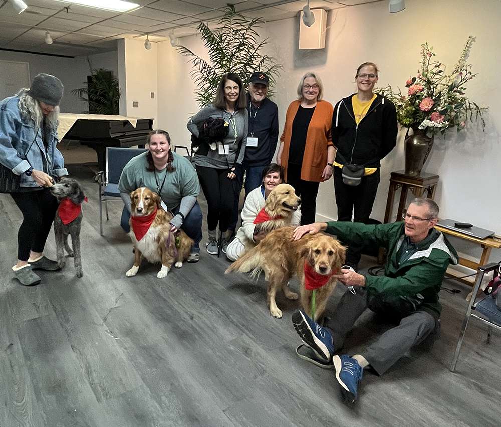 Canine Therapy Dogs In The Berkshires, Canine Therapy Dogs In Connecticut, Canine Therapy Dogs In New York