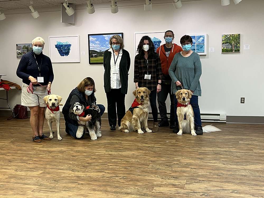 Canine Therapy Dogs In The Berkshires, Canine Therapy Dogs In Connecticut, Canine Therapy Dogs In New York