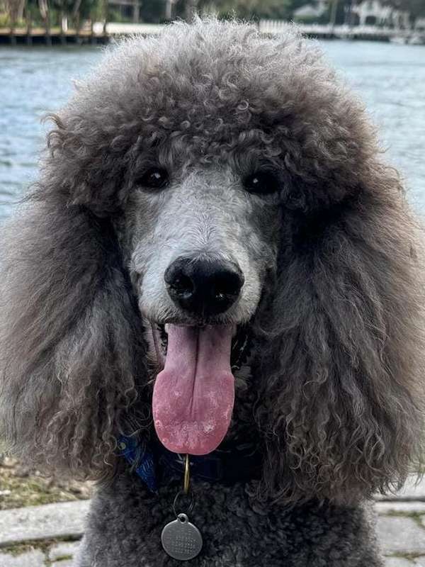Charley