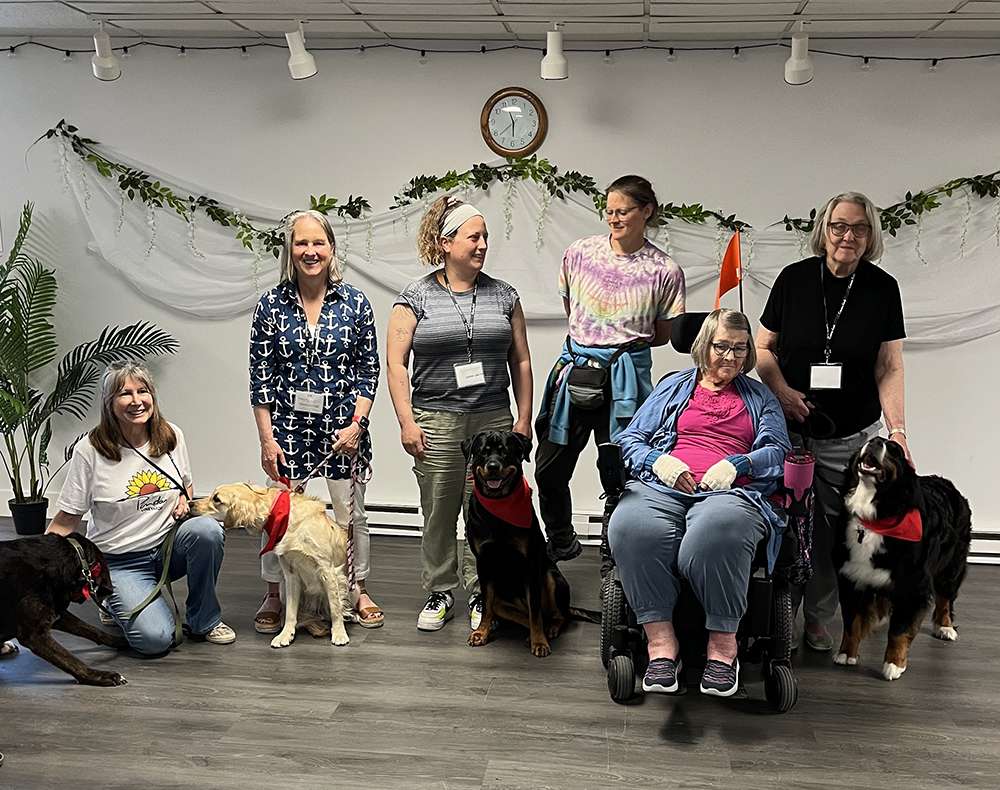 Canine Therapy Dogs In The Berkshires, Canine Therapy Dogs In Connecticut, Canine Therapy Dogs In New York